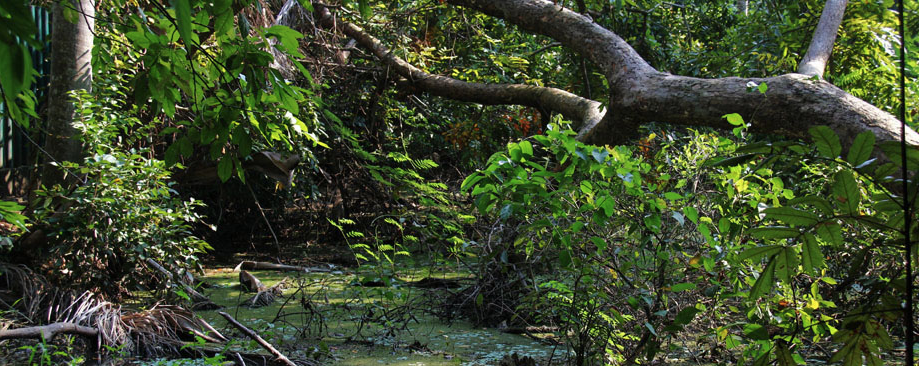 Screen Shot 2014-10-22 at 11.38.47 AM