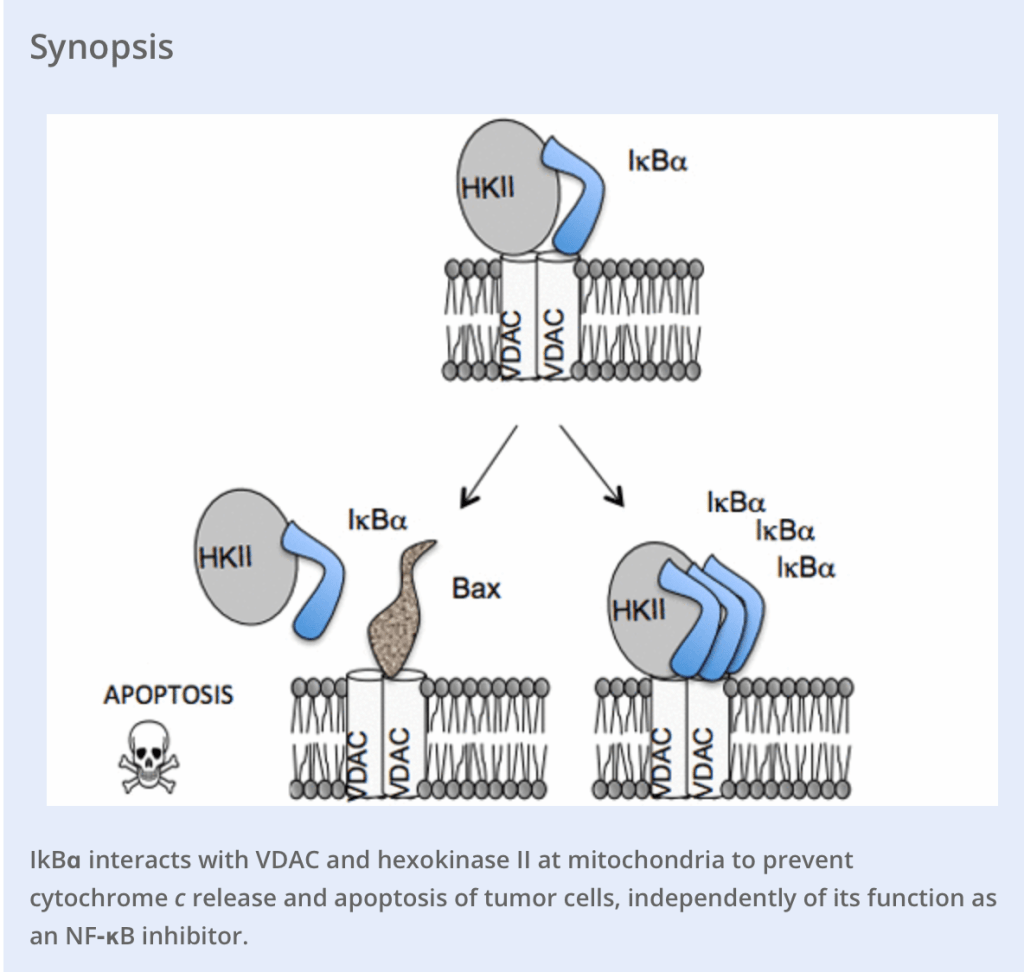 Screen Shot 2014-11-26 at 9.14.12 PM
