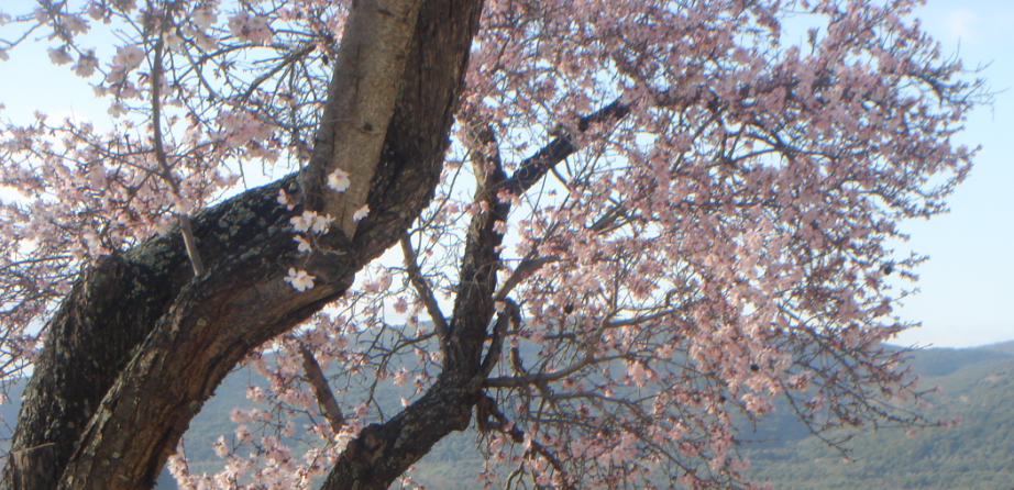 Screen Shot 2015-05-15 at 1.19.30 PM